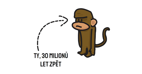 vývoj z opic