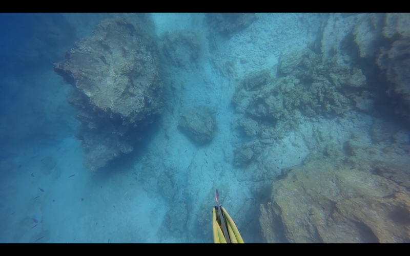 Hlavní nosná myšlenka