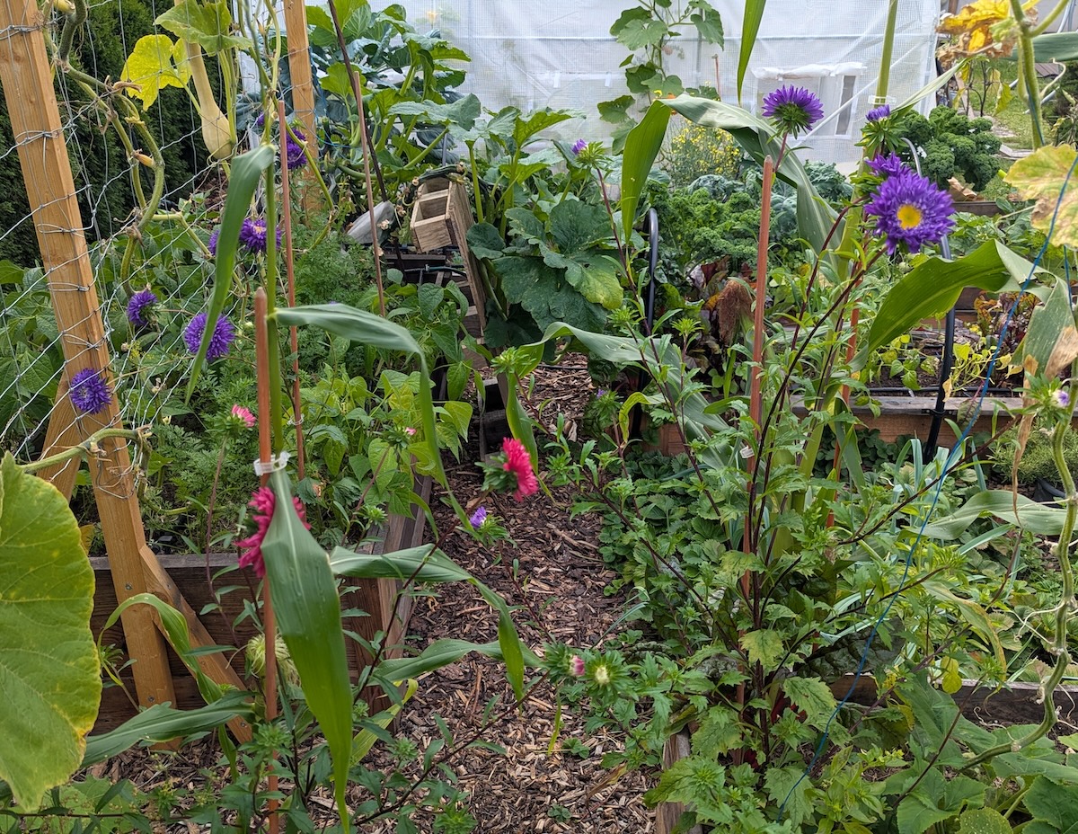 Regenerativní zahrada