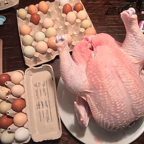 Bio nebo Farma?<br><br>Život do poslední kosti
