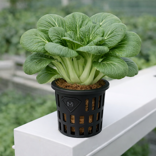 net-cups-50-10-b - 2