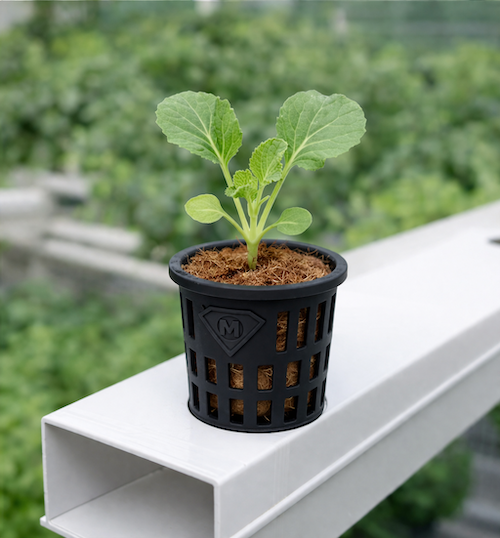 net-cups-50-10-b - 3